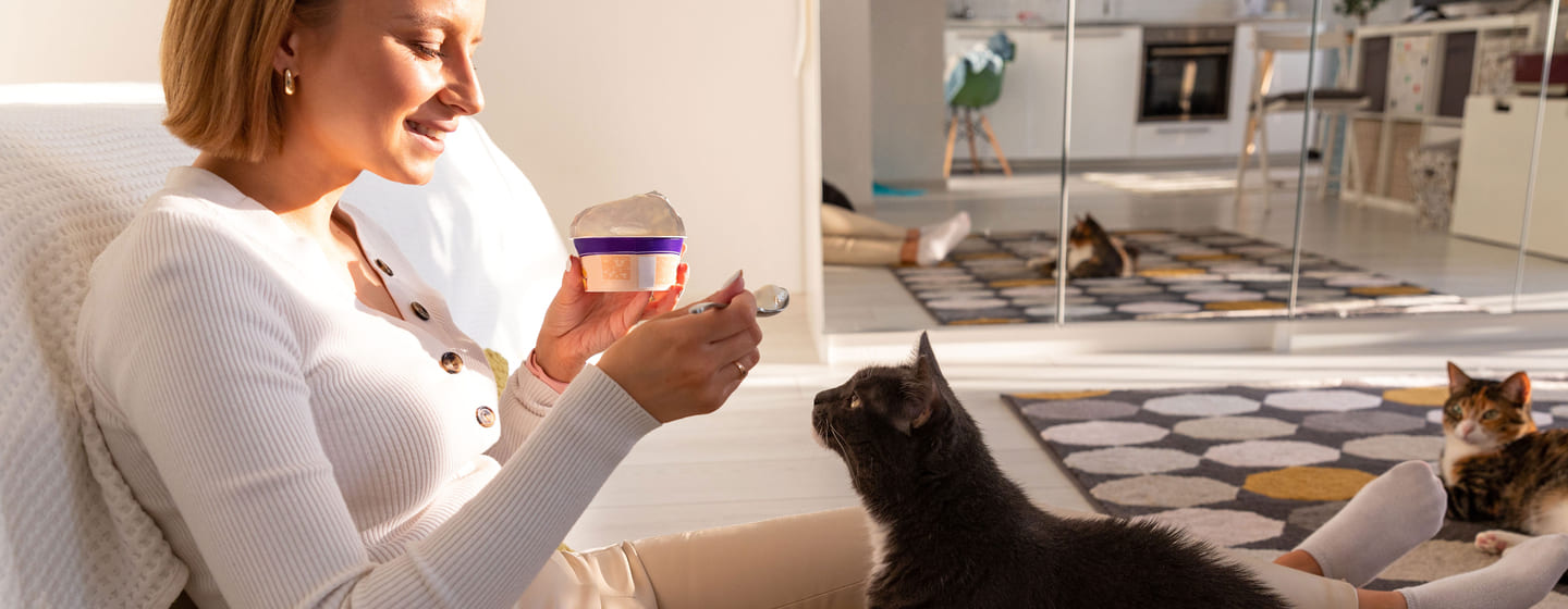 Cat likes shop yogurt